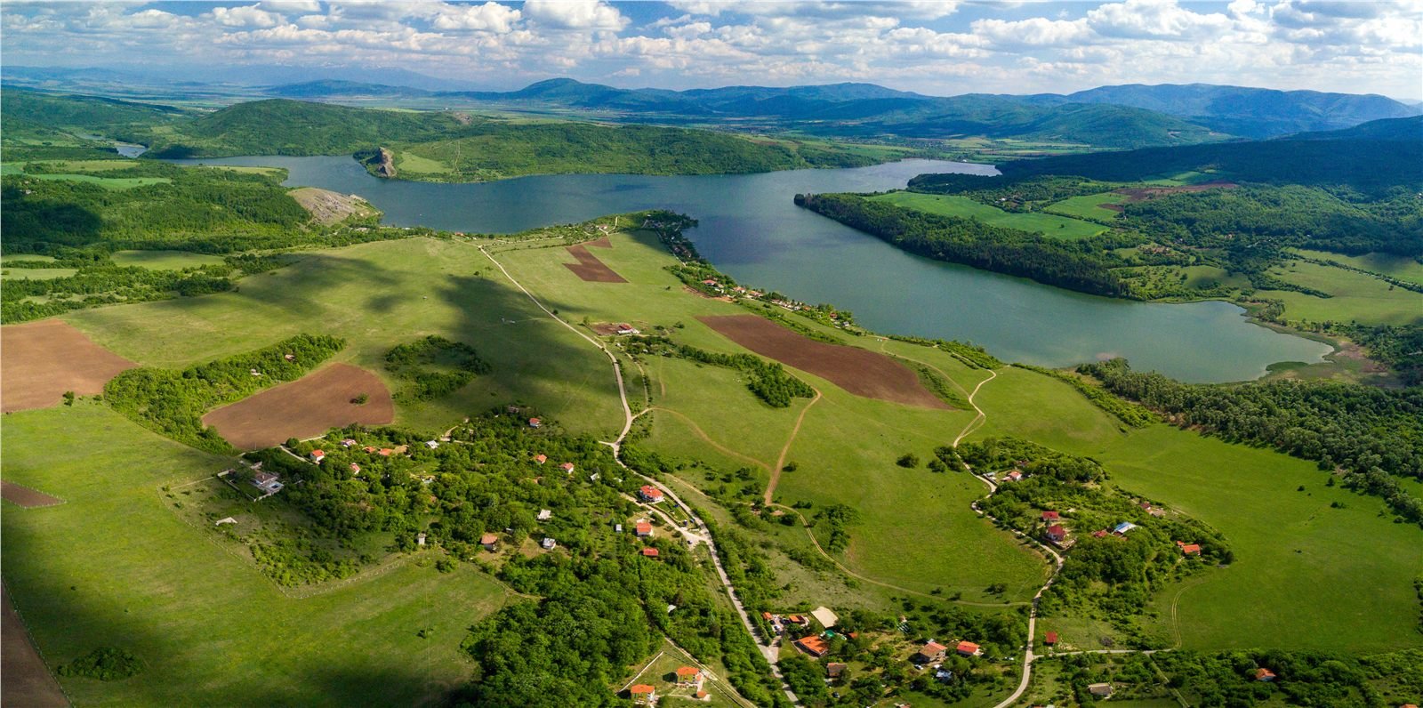Kokar